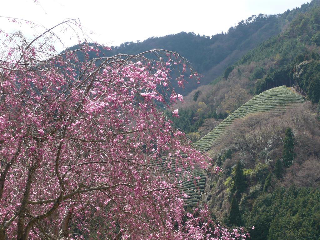 Kyoto Wazukaso Hotel Kizugawa Eksteriør billede