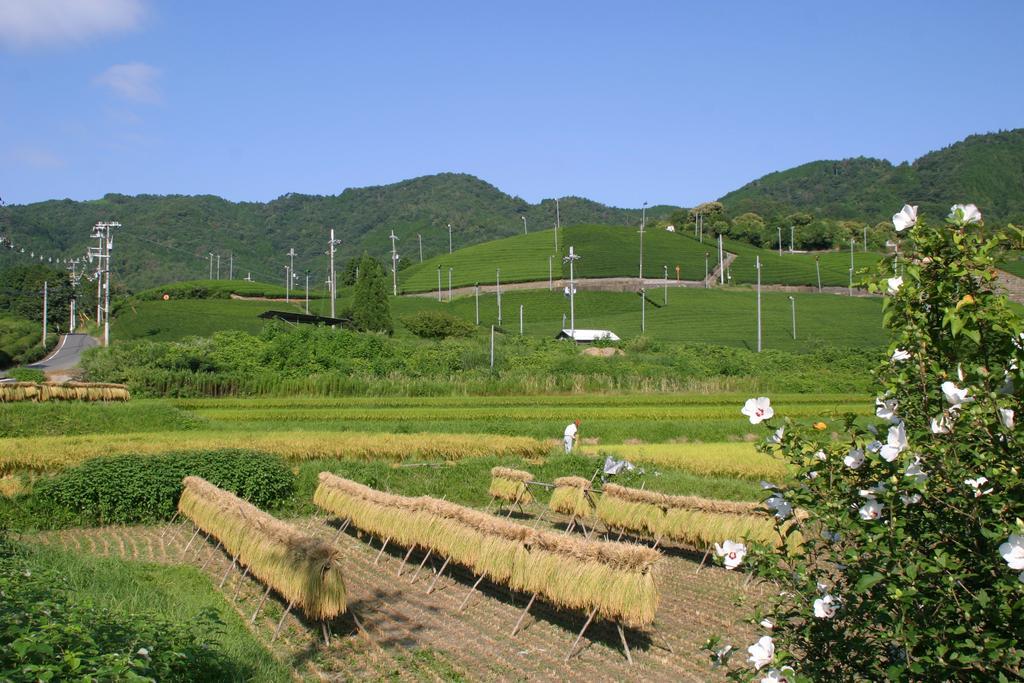Kyoto Wazukaso Hotel Kizugawa Eksteriør billede