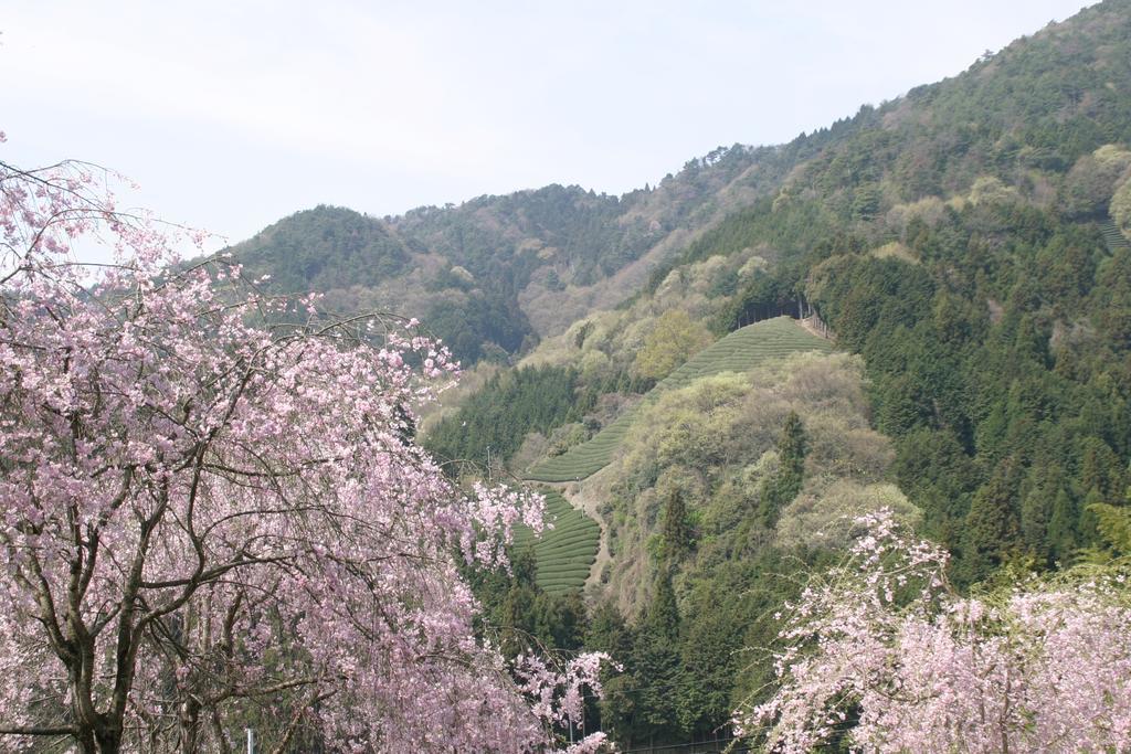 Kyoto Wazukaso Hotel Kizugawa Eksteriør billede